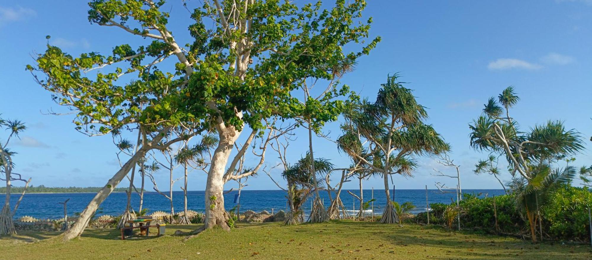 Bluepango Guest House Port Vila Exterior foto